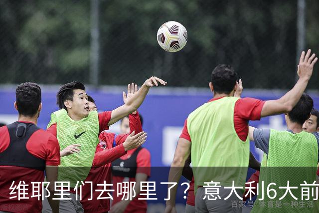 维耶里们去哪里了？意大利6大前锋没一个在踢欧冠